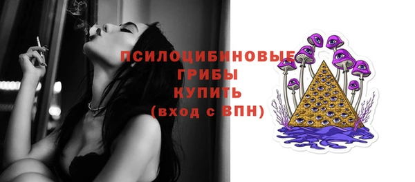 PSILOCYBIN Абдулино