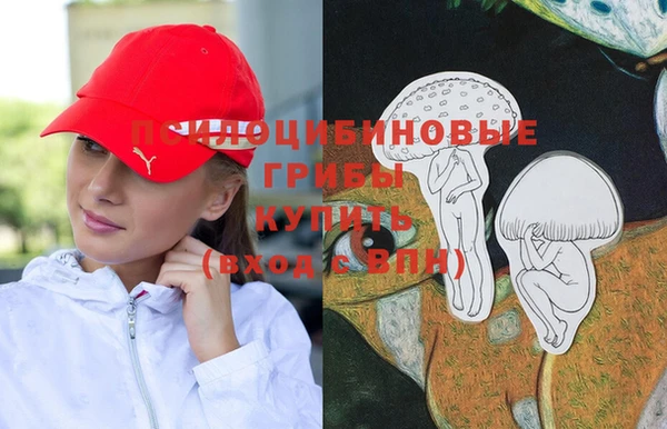 твердый Абинск