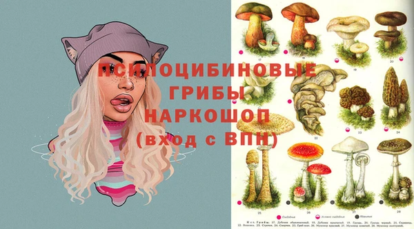 крисы Михайлов