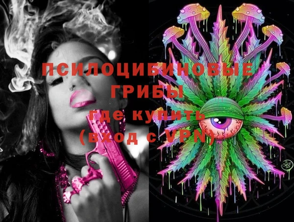 PSILOCYBIN Абдулино