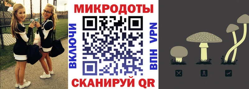 дарнет шоп  Поворино  МЕГА ССЫЛКА  Галлюциногенные грибы Psilocybe 